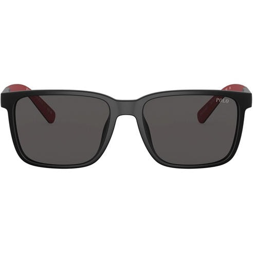 Polo Ralph Lauren - Men's 0PH4189U Wayfarer Sunglasses