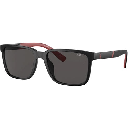 Polo Ralph Lauren - Men's 0PH4189U Wayfarer Sunglasses