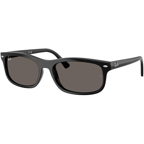 Ray-Ban - 0RB2224 Rectangle Sunglasses