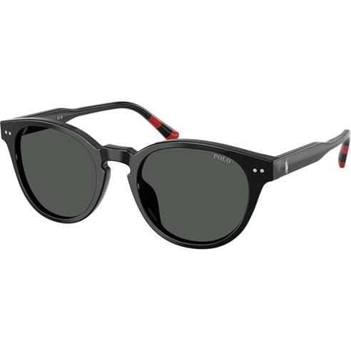 Polo Ralph Lauren - Men's 0PH4241U Round Sunglasses