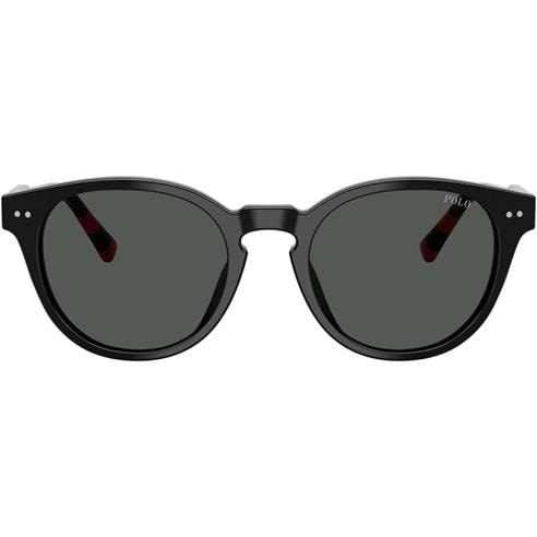 Polo Ralph Lauren - Men's 0PH4241U Round Sunglasses