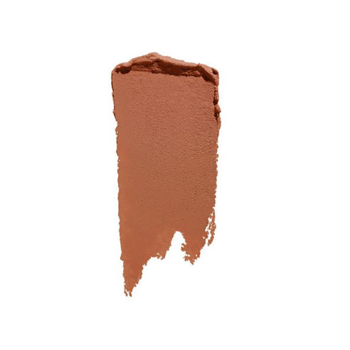 Shiseido - Synchro Skin Correcting Gel Stick Concealer