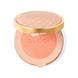 02 Tender Apricot
