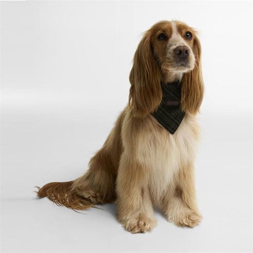 Barbour - Wilkin Dog Bandana